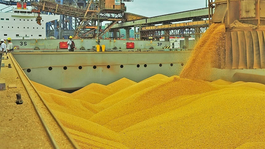China redobla sus compras de soja en Sudamérica y Argentina alcanza niveles récord de exportación de poroto