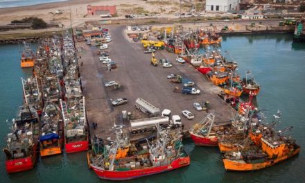 Más de 100 buques amarrados: la pesca argentina, al borde del colapso
