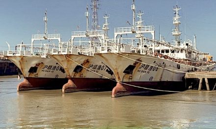 La industria naval en alerta: la FINA advierte sobre los riesgos del ingreso libre de buques usados