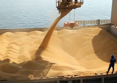 Tres gigantes del agro concentran el 40% de las exportaciones argentinas