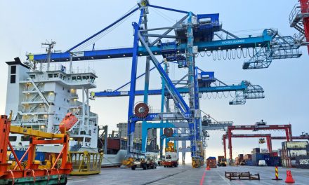 Puertos de EE.UU. advierten que aranceles del 100% a grúas chinas amenazan su desarrollo
