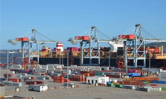 Montevideo pierde carga en tránsito: caída del 50% por salida de navieras