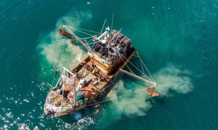 Argentina de espaldas al Mar: cinco medidas para salvar a la Industria Pesquera