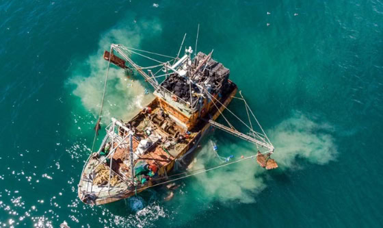 Argentina de espaldas al Mar: cinco medidas para salvar a la Industria Pesquera