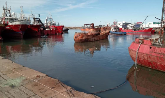 Mar del Plata libera espacio portuario y suma un nuevo atractivo submarino
