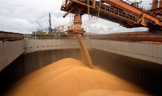 Del río al mundo: los puertos argentinos que alimentan al planeta