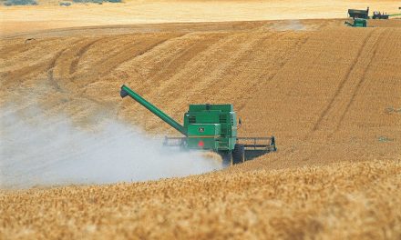 Récord en Exportaciones Agroindustriales: Argentina Supera los US$ 3.000 Millones en Mayo