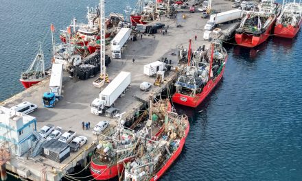 Crisis en la pesca del langostino: Negociaciones en punto muerto