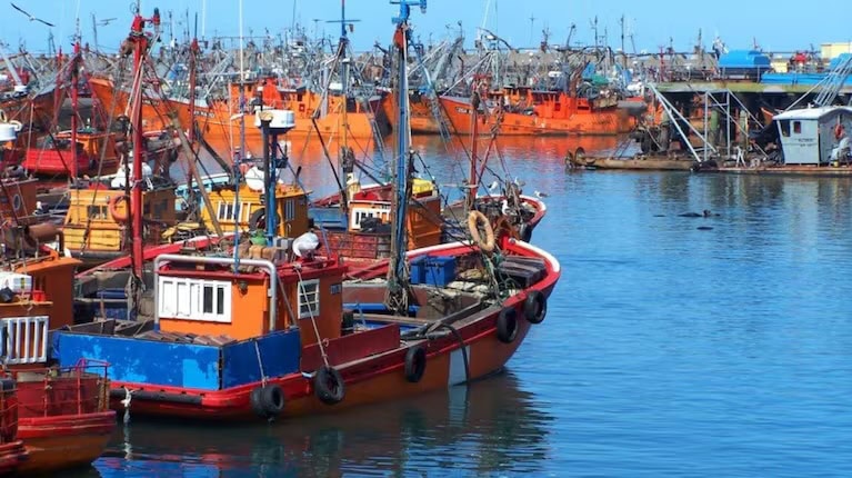 Crisis en la pesca del langostino: gremios rechazan rebaja salarial y la flota sigue paralizada