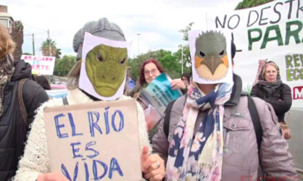 Ambientalistas protestaron en Paraná contra el dragado de la Vía Navegable Troncal