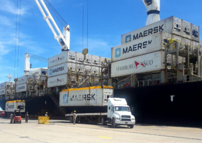 Cae el volumen de exportaciones frutícolas desde el Puerto de San Antonio Este