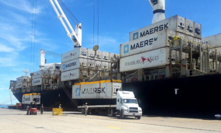 Cae el volumen de exportaciones frutícolas desde el Puerto de San Antonio Este