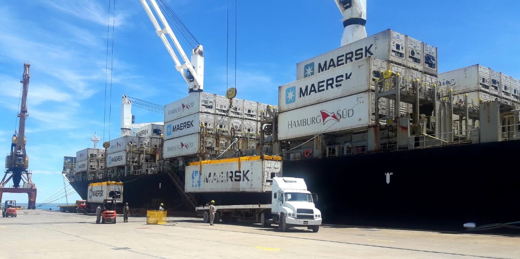 Cae el volumen de exportaciones frutícolas desde el Puerto de San Antonio Este