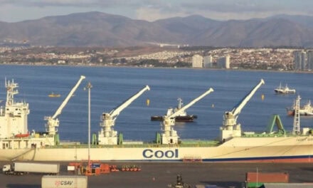 ¿Por qué Argentina sigue exportando fruta al mundo desde puertos chilenos?