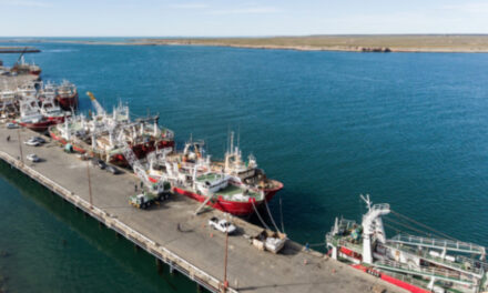 Puerto Deseado vuelve a latir con el arribo de los primeros buques tangoneros