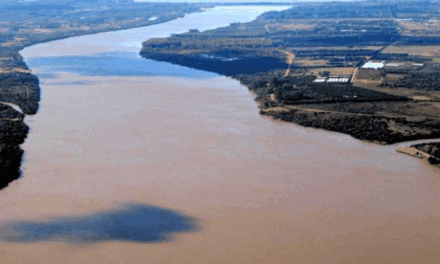 Comisión Binacional analiza el dragado del río Uruguay entre Nueva Palmira y Fray Bentos