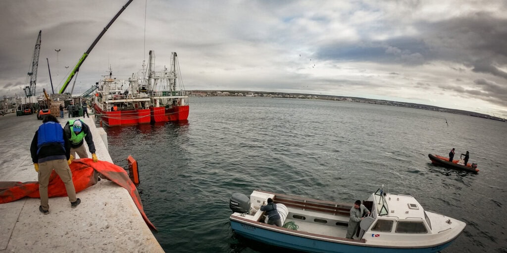 Puerto Madryn puso a prueba su capacidad de respuesta ante derrames de hidrocarburos