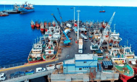 Puerto Madryn inicia el camino para convertirse en el primer Puerto Azul de Argentina