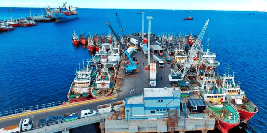 Puerto Madryn inicia el camino para convertirse en el primer Puerto Azul de Argentina