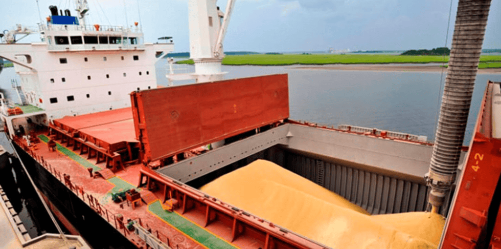 La agroexportación perdió fuerza en agosto, pero la Vía Navegable sostuvo el pulso de las ventas