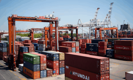 Paro en la Terminal 4 detiene operaciones de importación y exportación en el Puerto de Buenos Aires