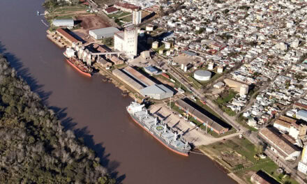 El Puerto de Concepción del Uruguay completó una nueva exportación a la India