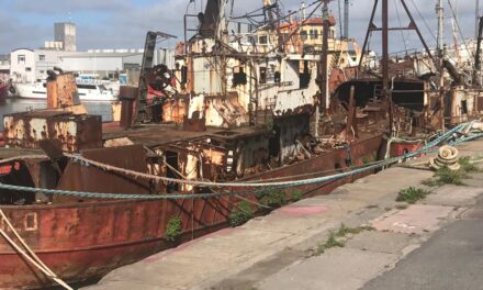 Mar del Plata avanza en el desguace de buques inactivos y suma más espacio de amarre
