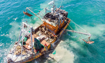La OMC y la ONU avanzan contra la depredación en la Milla 201: un nuevo frente para la protección del Mar Argentino