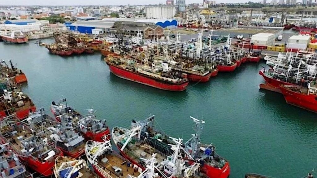 Regreso masivo de la flota pesquera a Mar del Plata: ingresaron más de 25 buques 