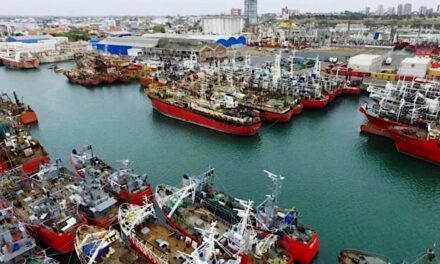 Regreso masivo de la flota pesquera a Mar del Plata: ingresaron más de 25 buques 