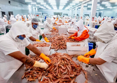 La pesca argentina reclama retenciones cero para recuperar competitividad
