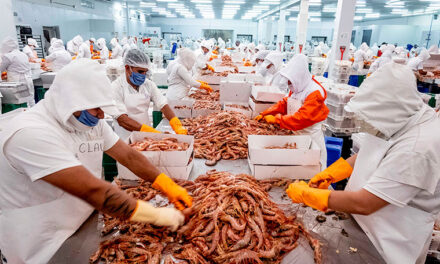 La pesca argentina reclama retenciones cero para recuperar competitividad