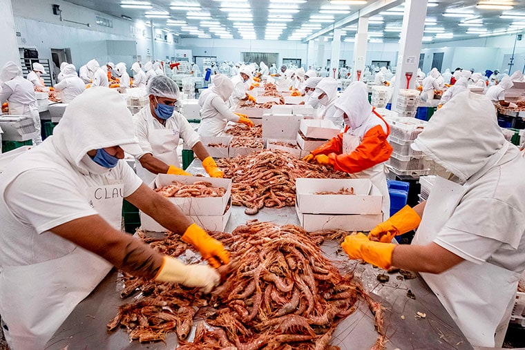 La pesca argentina reclama retenciones cero para recuperar competitividad