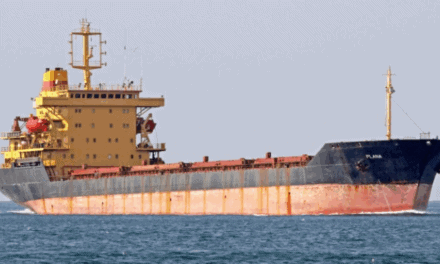 Embargo judicial al buque Plana en Rosario por una deuda con Puerto Mariel S.A.