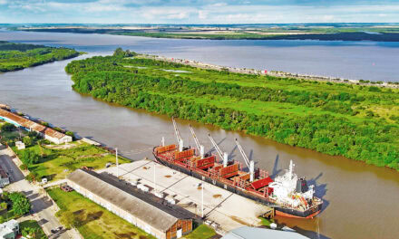 Tres ultramarinos en 15 días: Concepción del Uruguay consolida su ritmo exportador