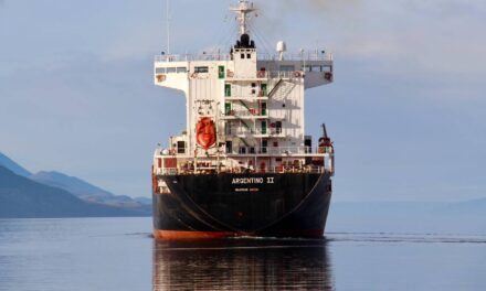 Puerto Madryn fortalece su rol logístico con una nueva frecuencia marítima quincenal