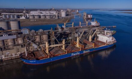 Bahía Blanca: crecimiento sostenido en granos, más movimiento energético y expectativas para el GLP argentino