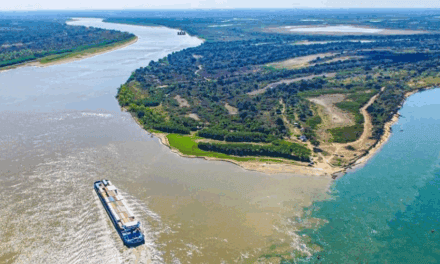 Paraguay adjudica el dragado del río Paraguay a tres empresas 