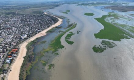 Río Paraná: de la crisis hídrica a la necesidad de una gestión sostenible