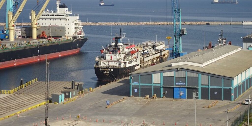 ¿Qué pasa con las casi 3.000 vacas uruguayas varadas frente a Turquía?