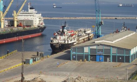 ¿Qué pasa con las casi 3.000 vacas uruguayas varadas frente a Turquía?
