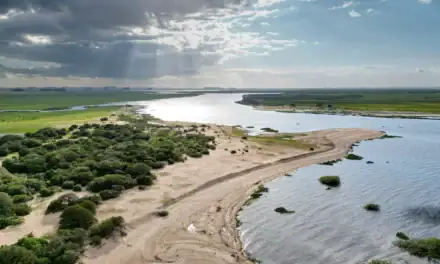 Brasil relanza la licitación para el dragado de la hidrovía Laguna Merín–Canal San Gonzalo