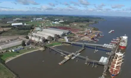 Nueva Palmira consolida su rol como puerta oceánica de la minería brasileña