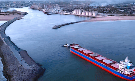 Puerto Quequén como cierre estratégico de una logística integrada bajo la mirada del mercado chino