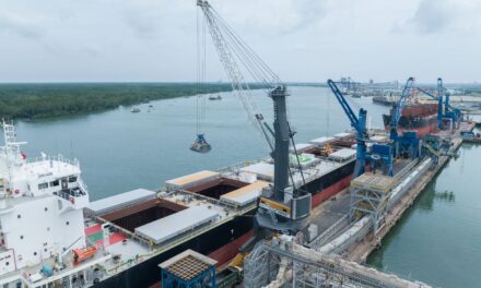 Un nuevo pórtico eléctrico Liebherr optimiza las operaciones de graneles en el puerto vietnamita de Phu My
