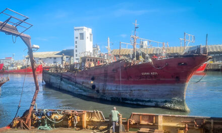 Puerto de Mar del Plata recupera 1.400 metros de frente operativo tras el envío a desguace del pesquero Coral Azul