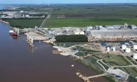 Terminales y Servicios invertirá u$s 290 millones en un nuevo puerto multipropósito en Timbúes