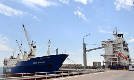 San Antonio Este abre la temporada marítima de exportación frutícola 2026