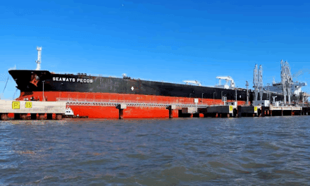 Los puertos bonaerenses aceleran su operatoria impulsados por energía y exportaciones