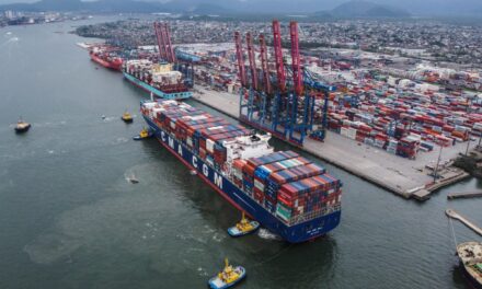Puerto de Santos: APS lanzó tres licitaciones para obras en Ilha Barnabé, seguro vehicular y servicios para ferias 2026